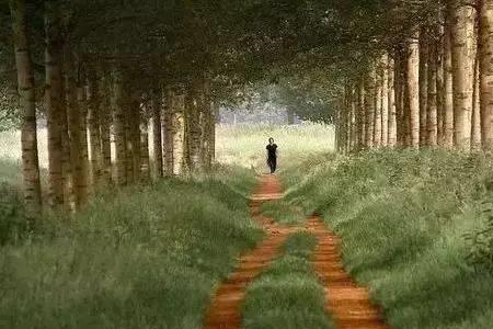 坦坦然然什么意思