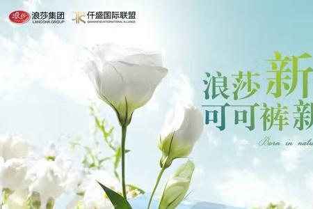 浪莎和浪莎国际是两个品牌吗