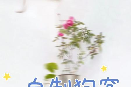 小别是指多久