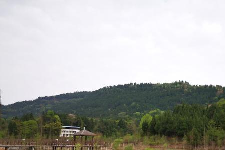 清水湖湿地公园要门票吗