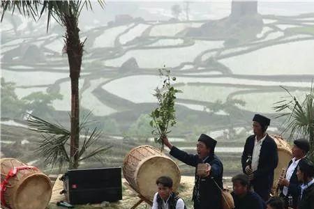 红河州哈尼族有几个支系