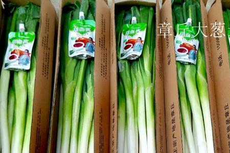 山东章丘最便宜的大葱批发市场