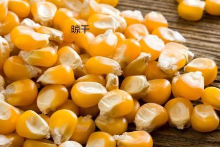 玉米粒罐装开启多久能吃