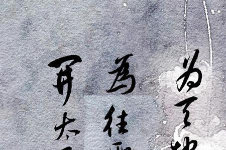 学绍横渠是成语吗