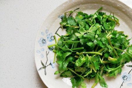 香菜叶子好吃还是根好吃