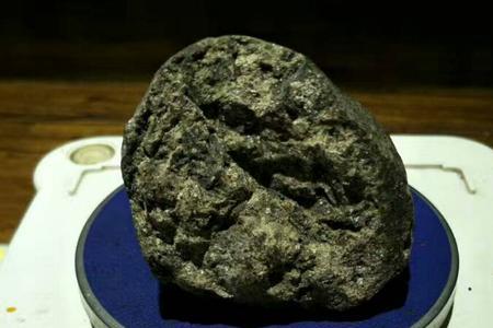 龙涎须别名