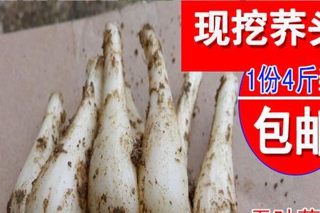 荞头读音