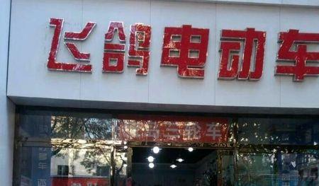 飞鸽和思帝诺电动车哪个好
