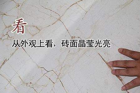 宝林瓷砖是几线品牌