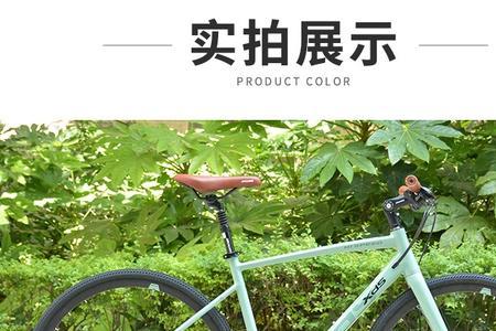 喜德盛极速500牙盘多大