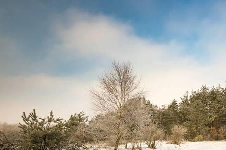 白雪覆盖的成语解析