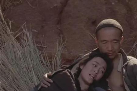 银狐从不失手是哪部电影