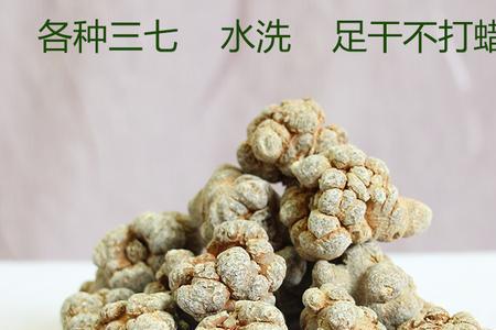 云三七和田三七有什么区别