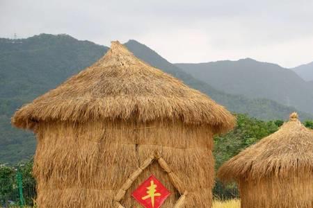 秋收五谷丰全诗