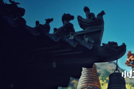 慈悲出祸患出处