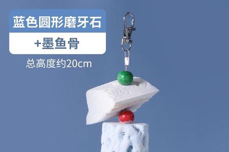 费氏钴蓝色牡丹鹦鹉会说话吗