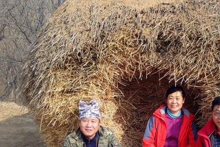 八零人什么意思