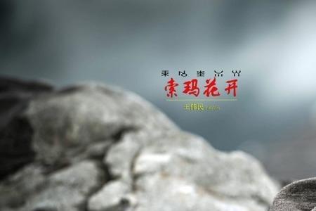 索马花开歌曲原唱