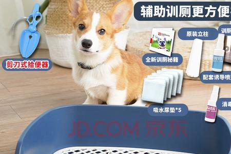 便盆猛冲水会有脏东西出来