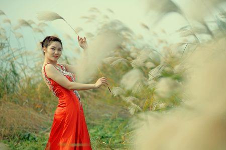 走过这段芦苇坡歌曲原唱