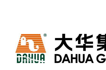 大华哪年的