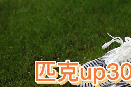 匹克up3020和20elite区别