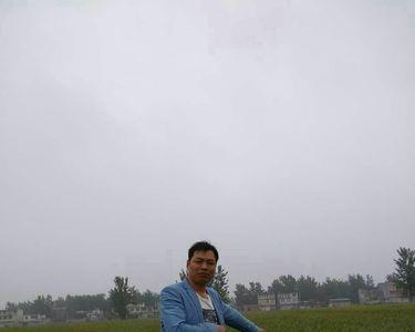 西农805审定公告