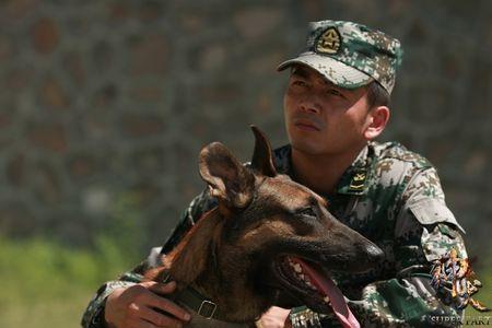 神犬奇兵金凤凰扮演者