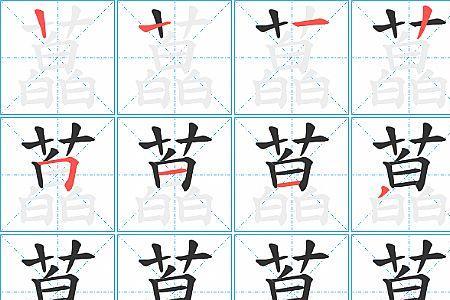 连子字的笔顺