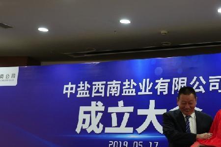 中盐集团是世界500强吗