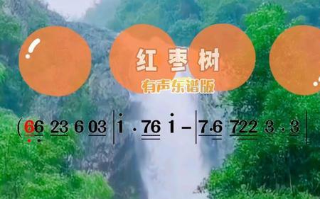 红枣树的花歌曲原唱