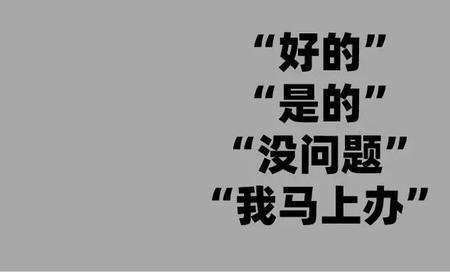 毫无怨言相似的成语