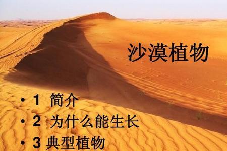 不属于沙漠植物的共同特点