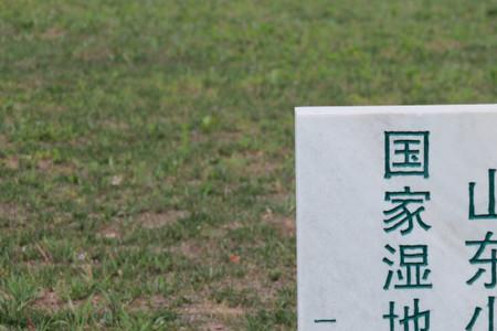 山东省的面积是多少公顷