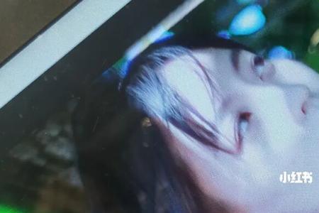 仲夏秋染是什么意思