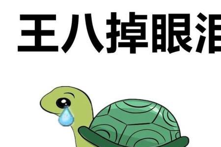 乌龟要做寿歇后语