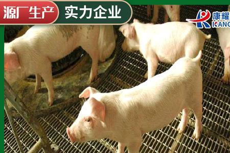 钢丝网羊床的优缺点