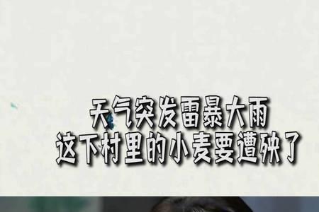 兰桐花开小麦考上大学是第几集