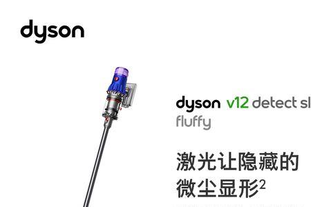 戴森官网买东西有积分吗
