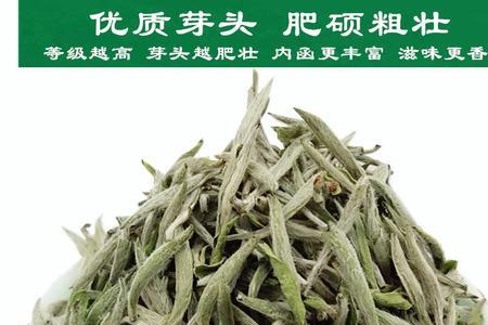 一亩福鼎白茶的产量