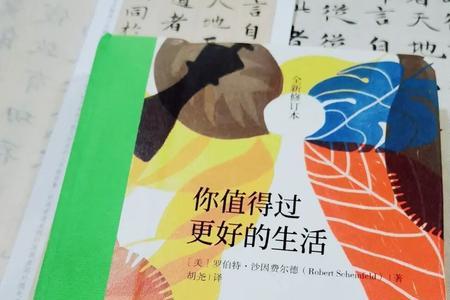 沙因费尔德深度解析