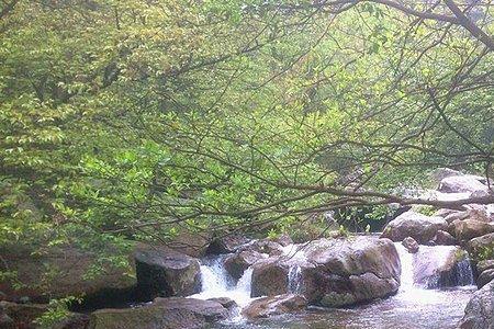 雨来咯是什么意思