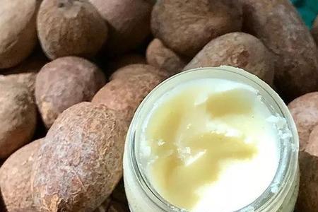 乳木果油黄色和白色区别