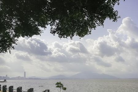 深圳湾公园开放了吗9月