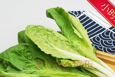 一棵白菜 重约5什么