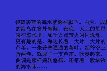 闪闪烁烁的意思四年级