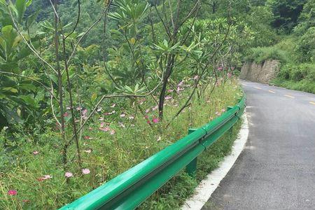 高速公路绿色牌是什么