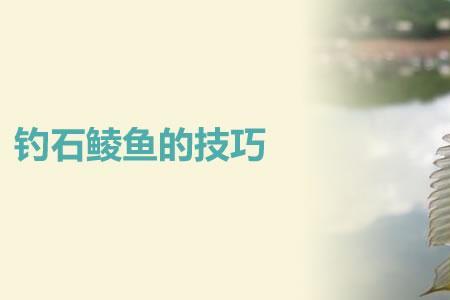 石鲮鱼用什么网抓