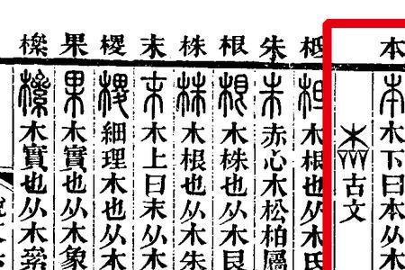 为本是什么意思
