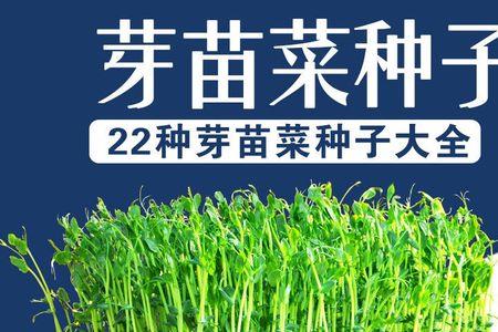 黄瓜种子育出来的苗像豆芽菜